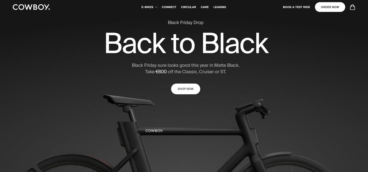 popular shopify stores